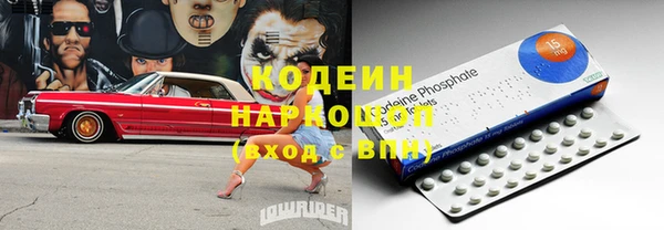 ECSTASY Богданович