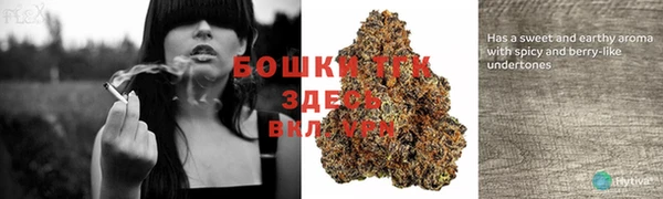 наркотики Белокуриха